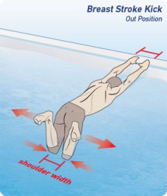 Swimming_How-to-Kick-Breaststroke-for-Swimming_03_300x350-2
